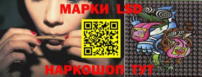 индика Усть-Илимск
