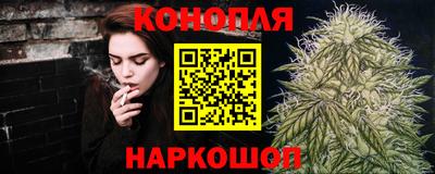 индика Усть-Илимск