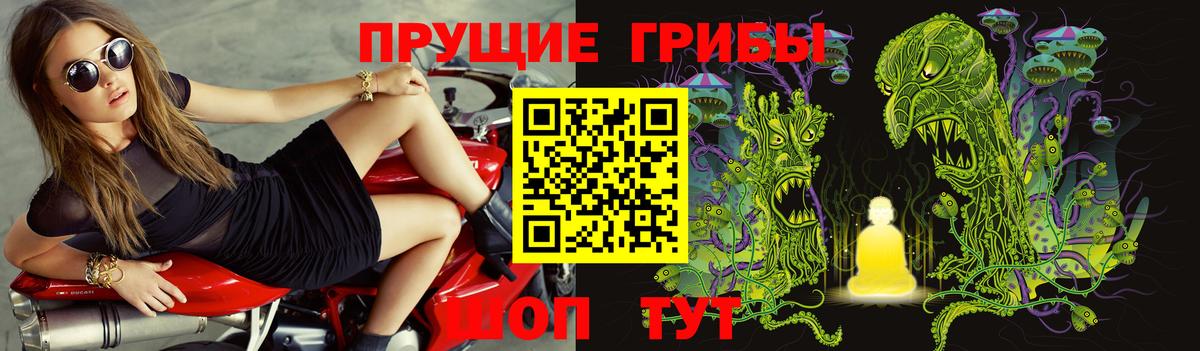 Туймазы  Псилоцибиновые грибы MAGIC MUSHROOMS  Вход с VPN 